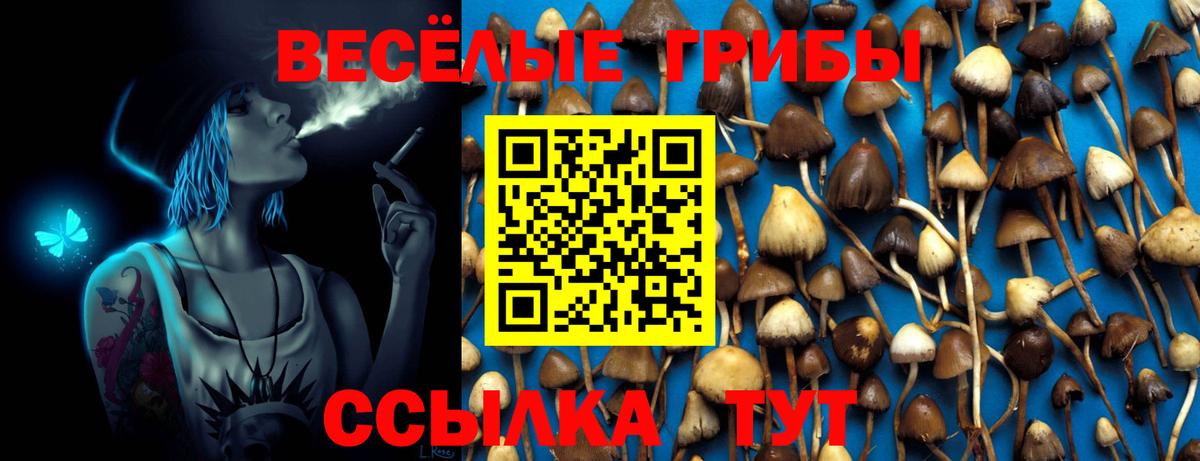 Галлюциногенные грибы мухоморы  Вход с VPN  где купить   Гудермес 